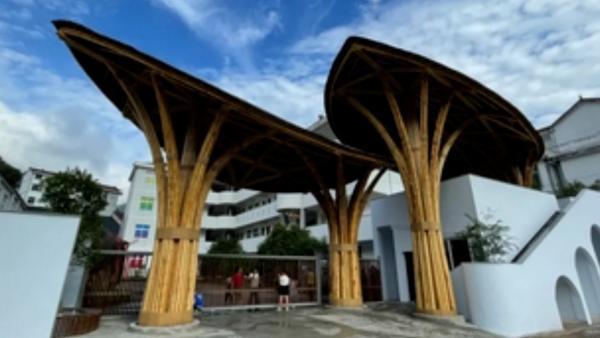 丽水一小学校门由竹子制成茶叶造型，124名学生参与设计