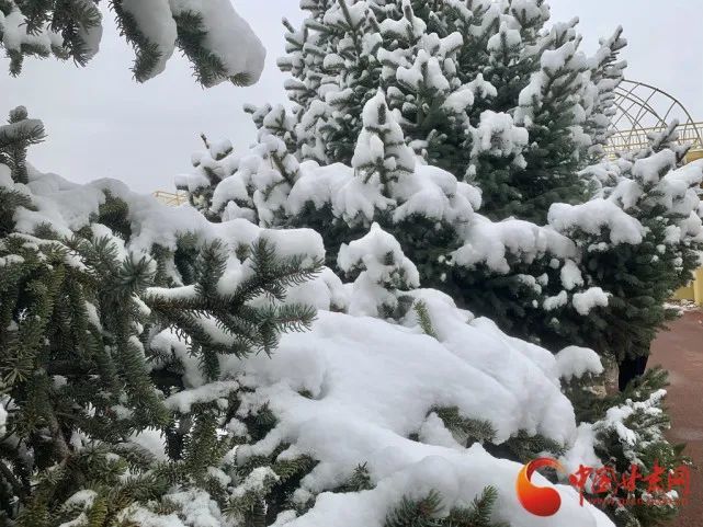 甘肃多地“一秒入冬” 断崖式降温啥时候“刹车”