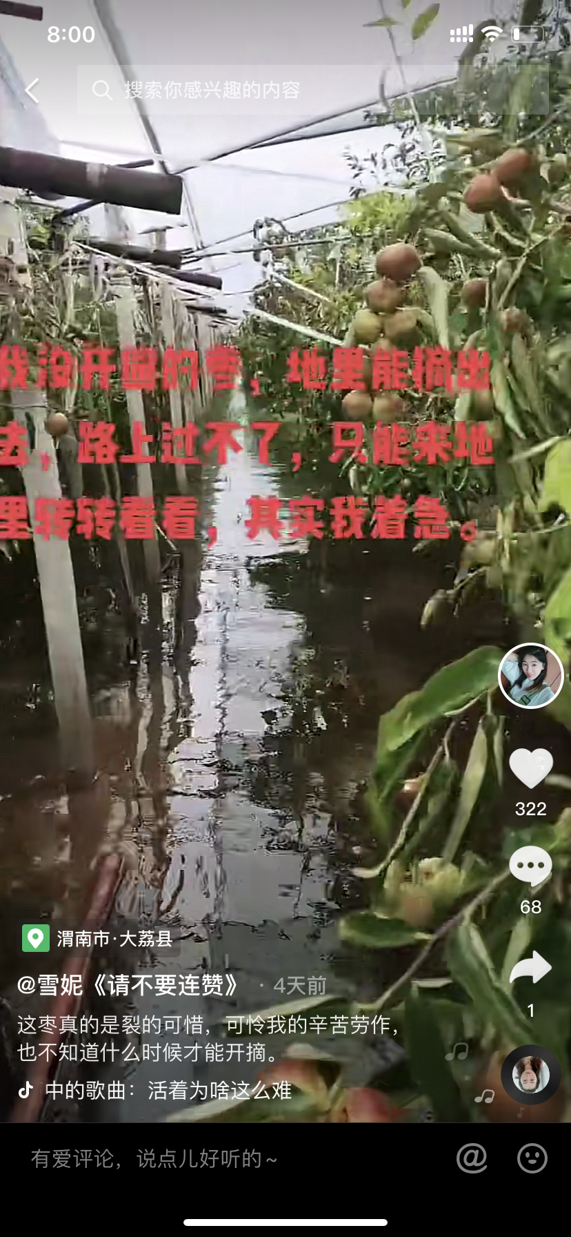 陕西大荔县近50万亩农田受灾，有种枣户损失近百万元，农民：3年辛苦白费了