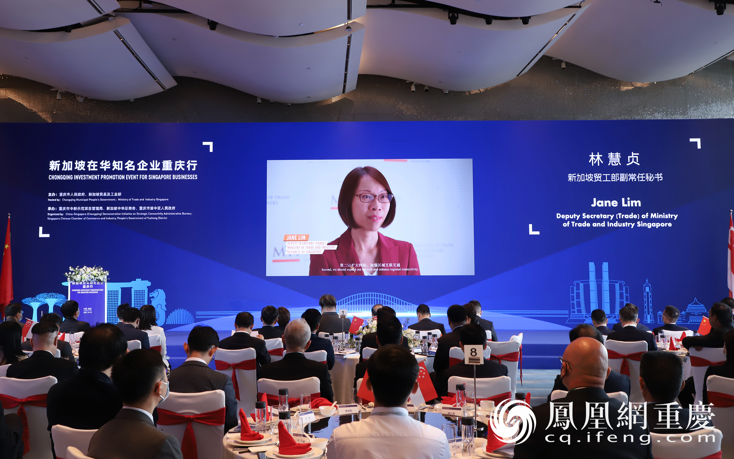 新加坡贸工部副常任秘书林慧贞致辞（视频）