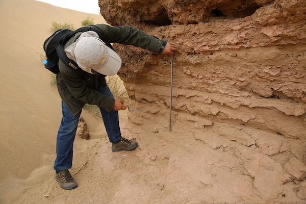 寿昌城址调查（城墙夯层测量）