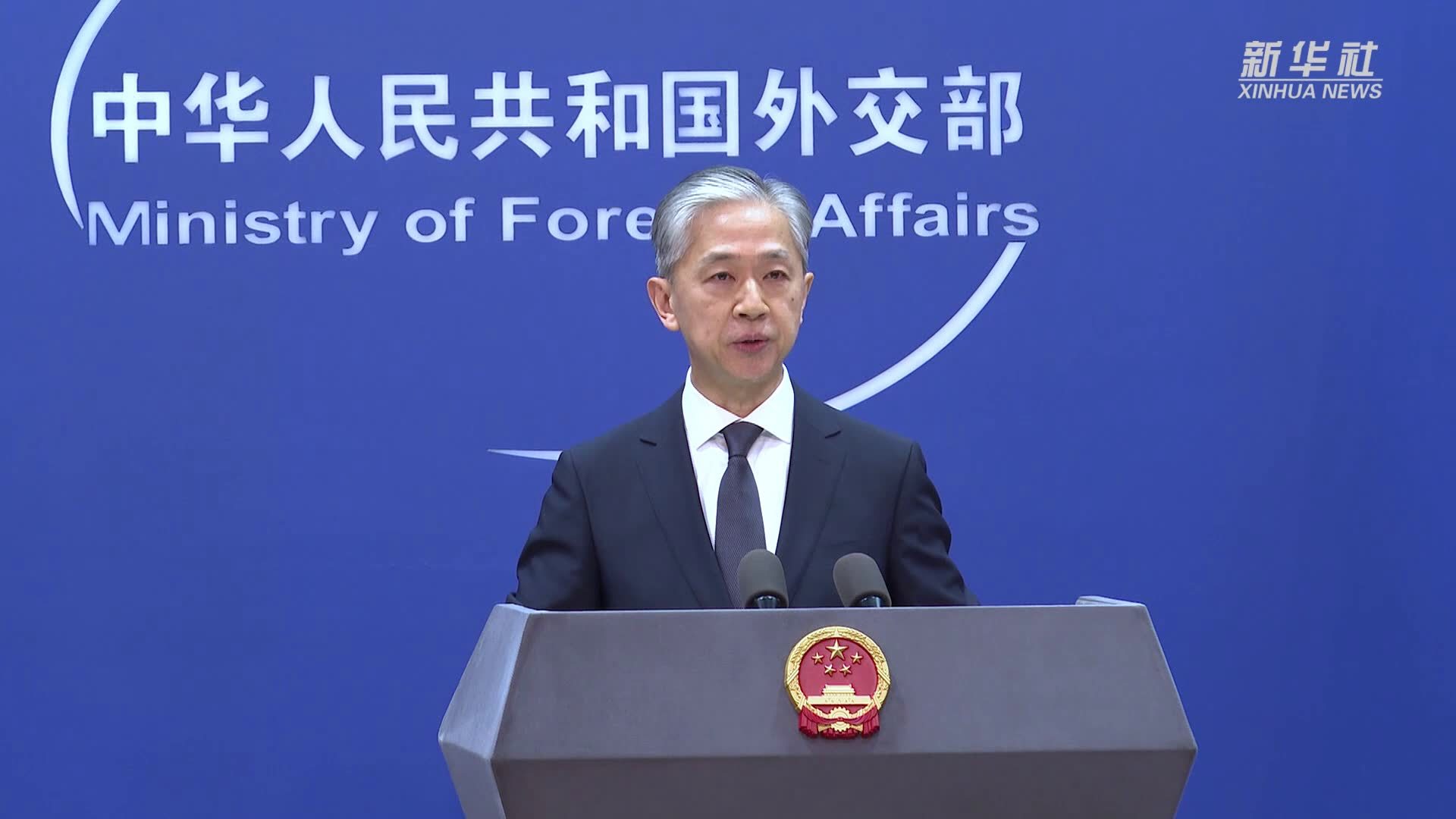 汪文斌说不应试图把民主变成可口可乐