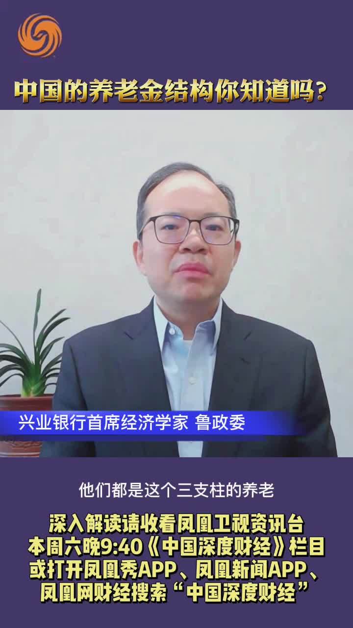 鲁政委：中国的养老金结构你知道吗？