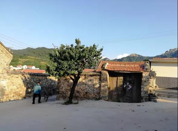 美丽乡村：福山门楼镇姜家夼村的悠然田园