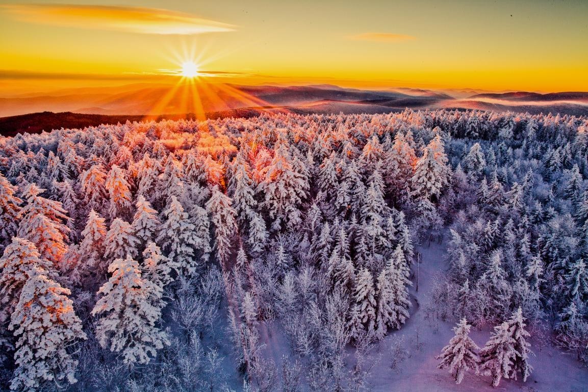 冰雪森林:哈尔滨—铁力—伊春—五大连池—黑河