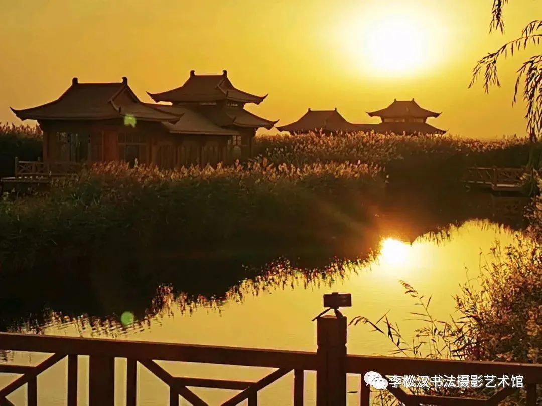 肃州湿地披上“黄衣裳”，简直“洋气”到飞起！