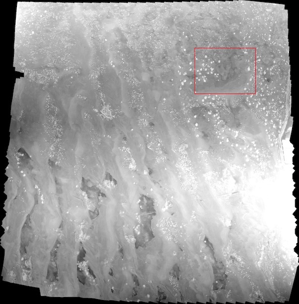 古董滩重点疑似区域无人机热红外影像图,红色矩形表示遥感考古异常区及影像特征