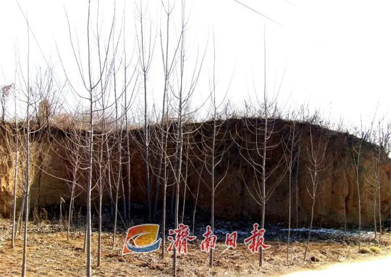 东平陵故城遗址城墙遗迹