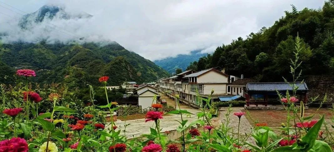 陇南武都:生态良好,乡风文明,美丽宜居!凤凰网甘肃_凤凰网