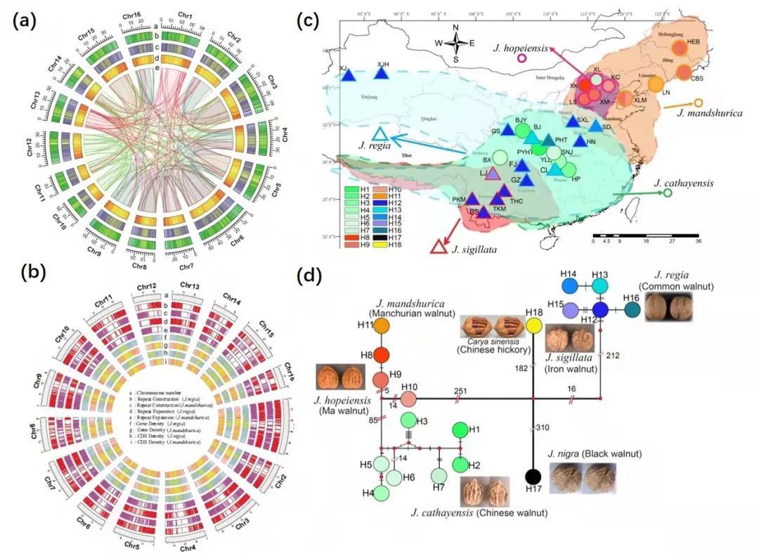 西北大学生命科学与医学部举办“地球生命共同体学科群研究计划”学术论坛