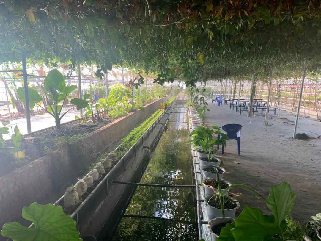 烟台：门楼镇肖家村里的宝藏生态园