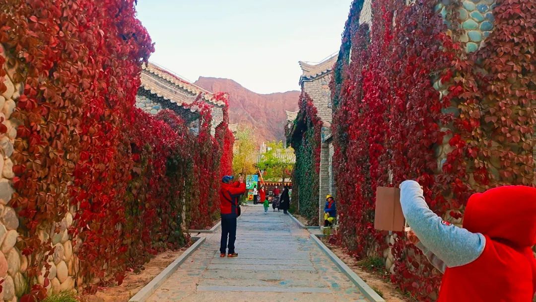 秋越浓，张掖丹霞口文旅小镇颜色就越红！