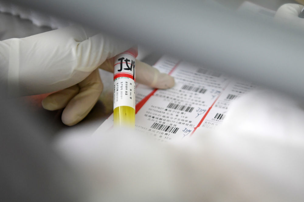 ↑10月21日，兰州大学第二医院检验医学中心检验师彭玲玲在核酸检测实验室核对标本编号。