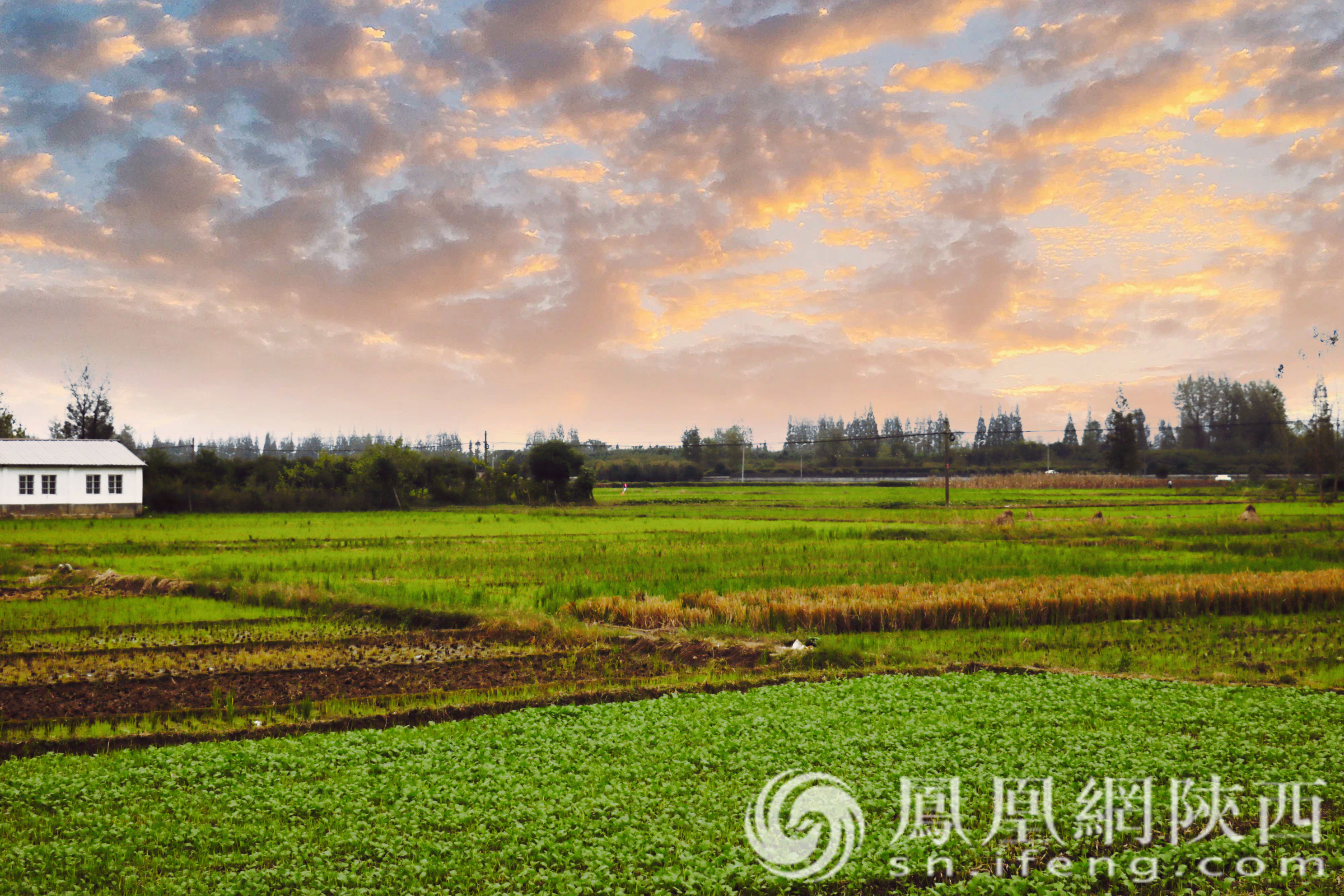 汉中市城固县：青山绿水助发展 美丽家园绘新卷
