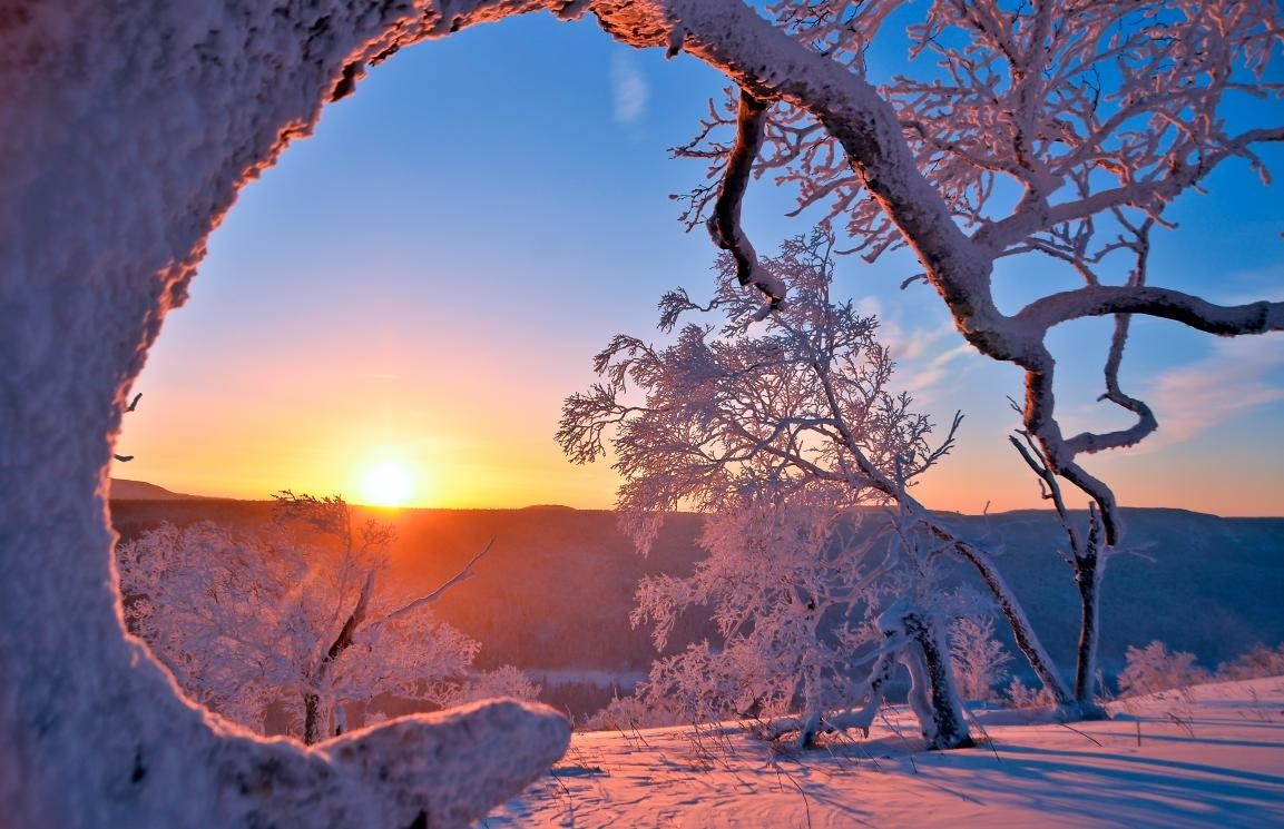 雪国雾凇