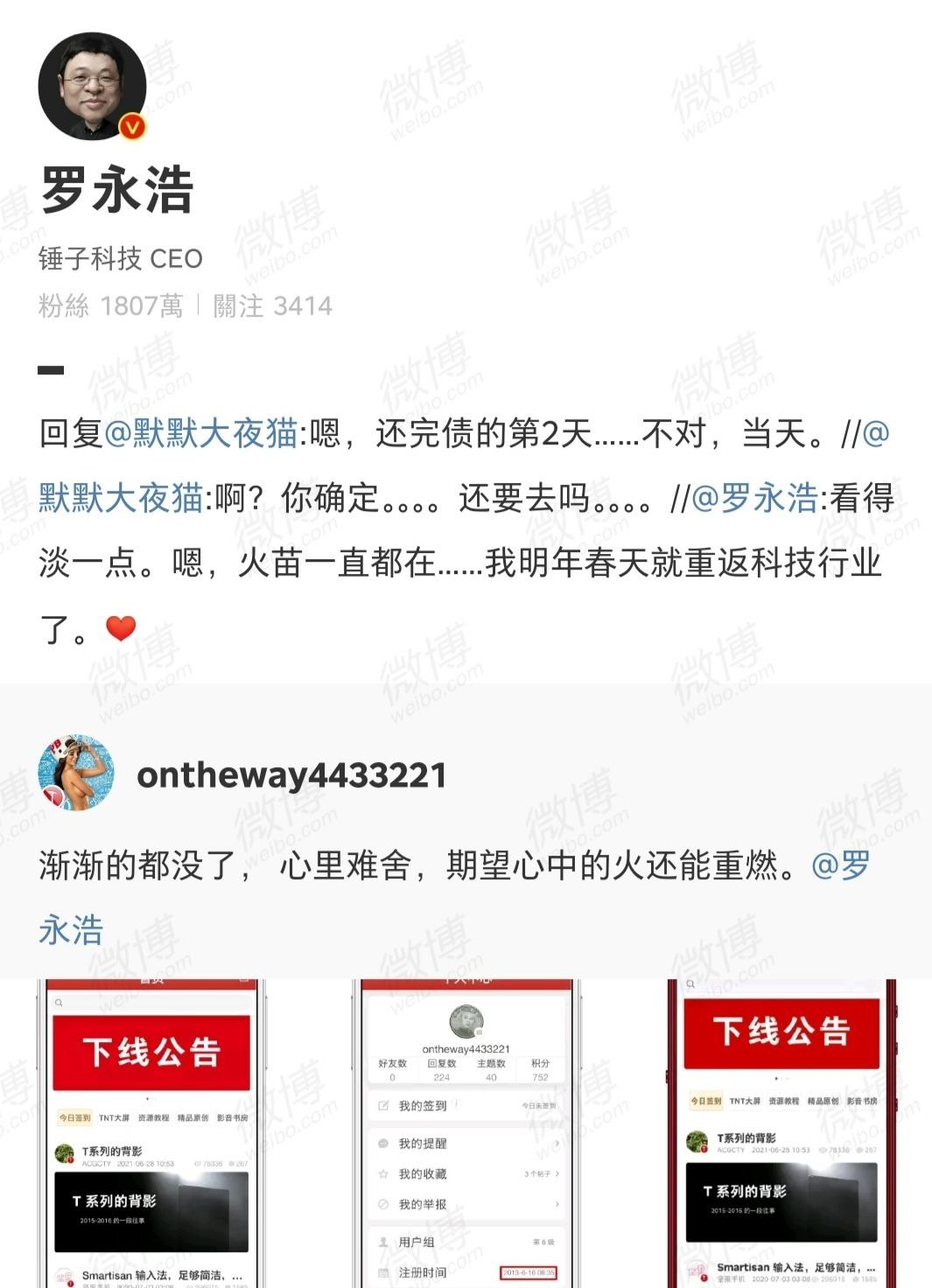 罗永浩微博截图