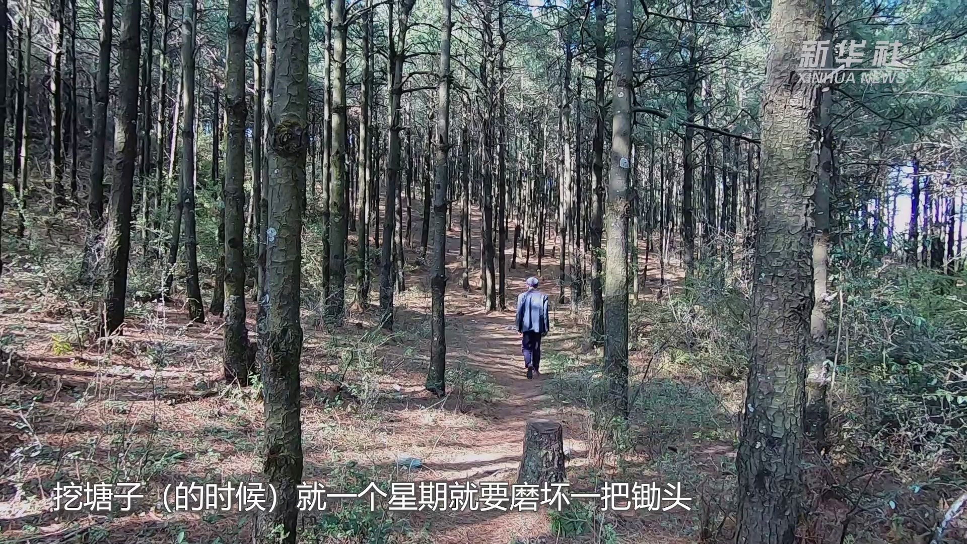 接力种树40年 昔日荒山换绿颜