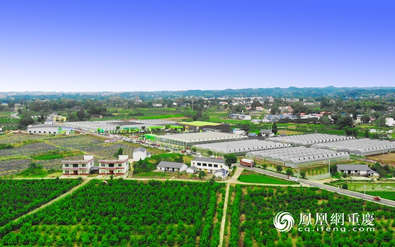 潼南高质量推进国家现代农业产业园核心区建设
