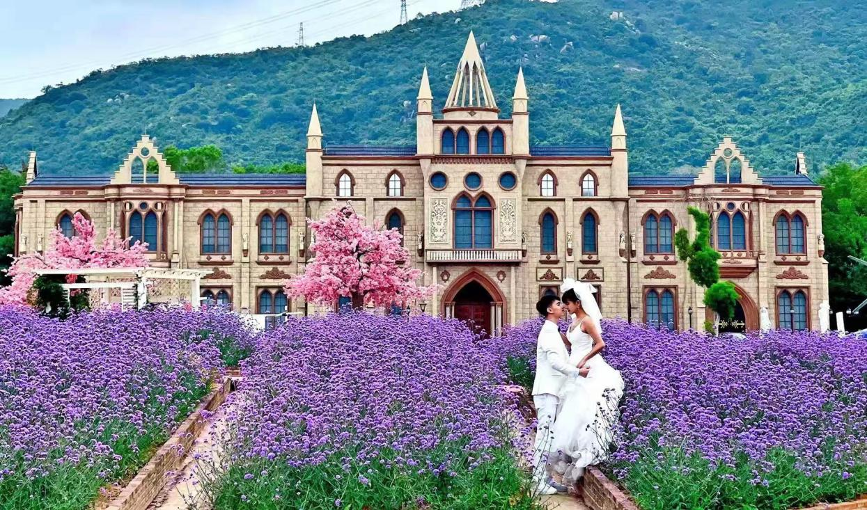 对话消费场景玫瑰海岸文化旅游度假区情定玫瑰海岸邂逅浪漫沙滩