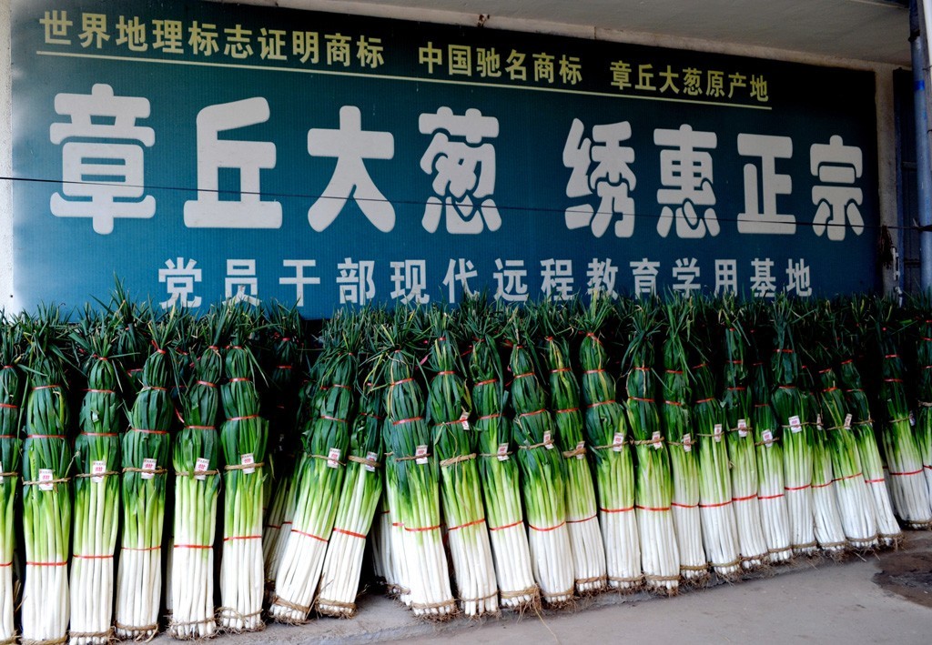 dccda065de65e095943df1c74f073ae