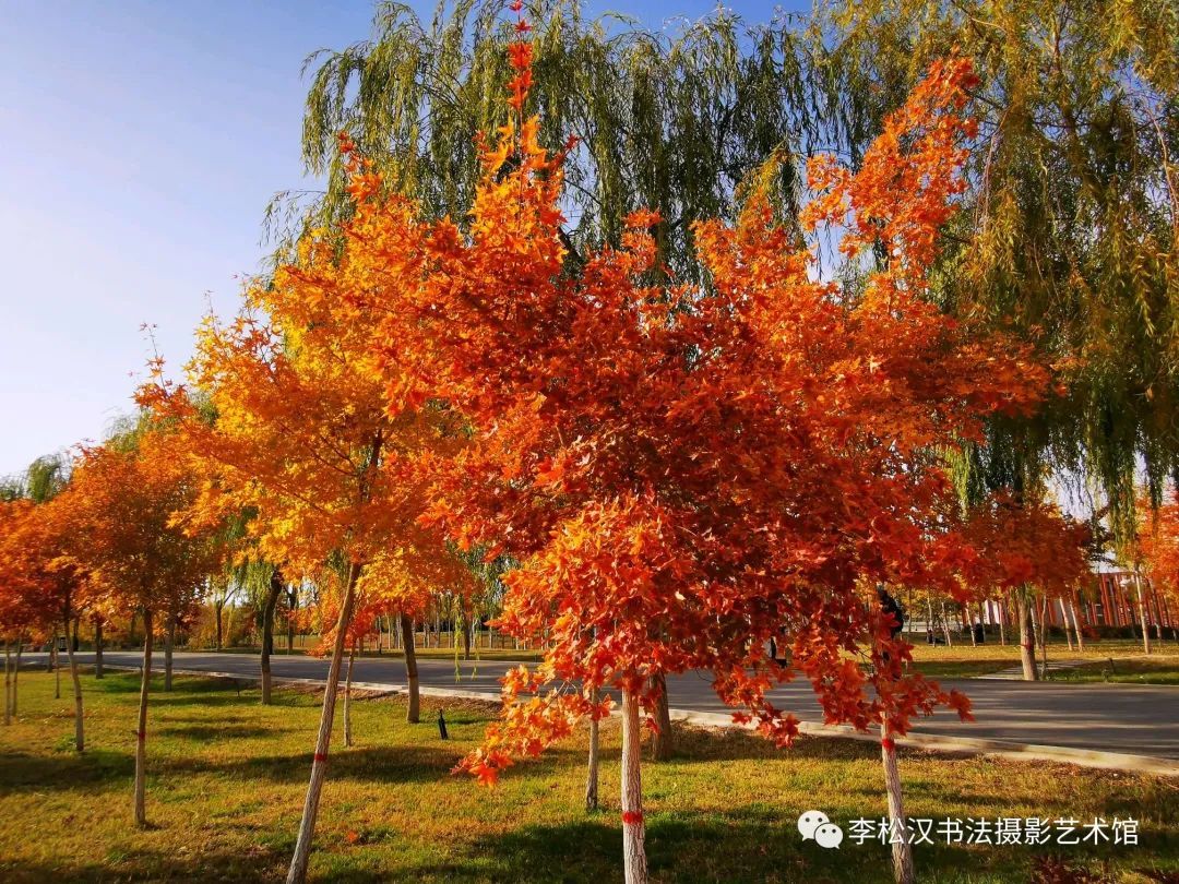 酒泉市肃州区锦玉公园图片