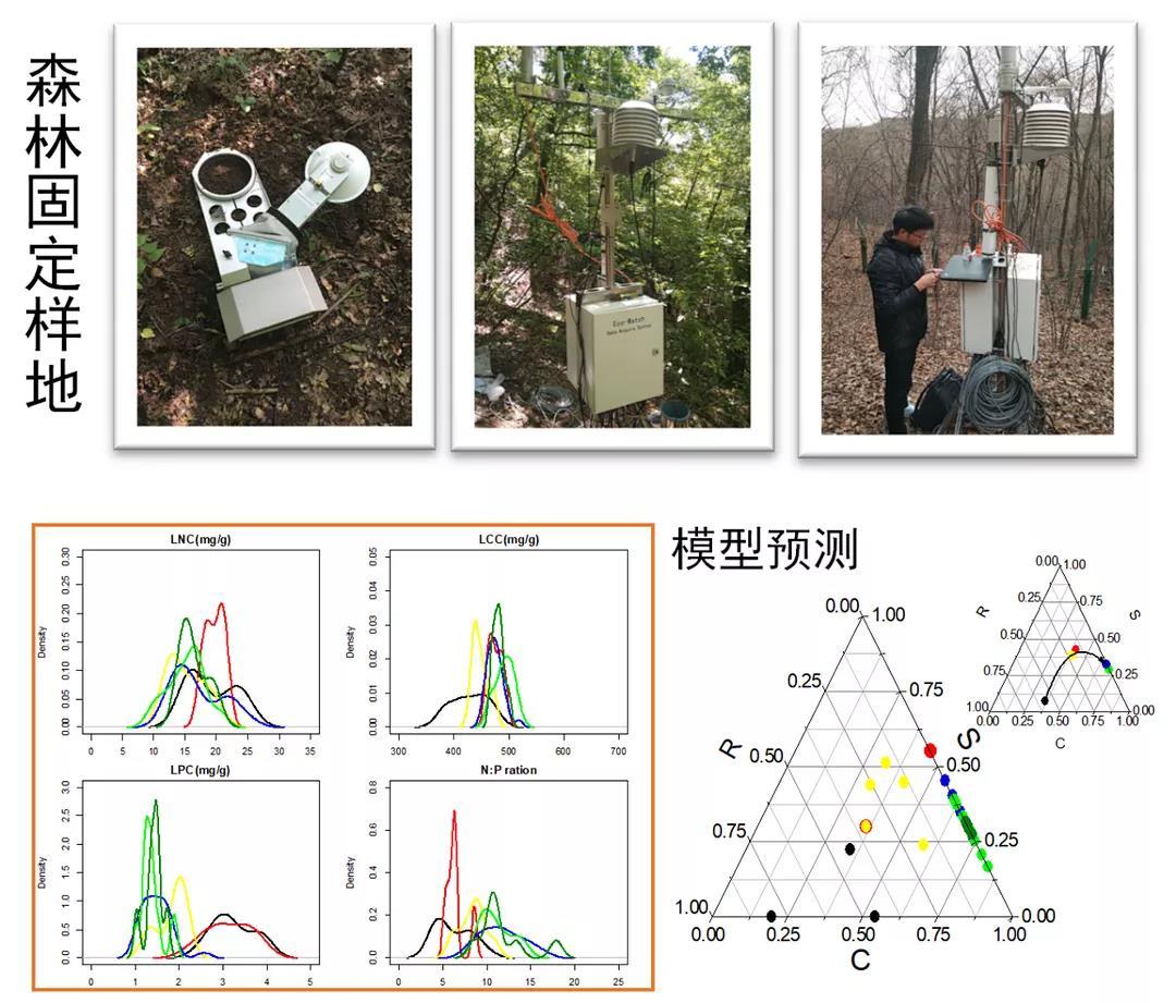 西北大学生命科学与医学部举办“地球生命共同体学科群研究计划”学术论坛