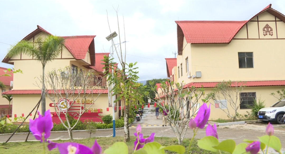 保亭县保城镇:将县委全会精神内化于心 外化于行凤凰网海南_凤凰网