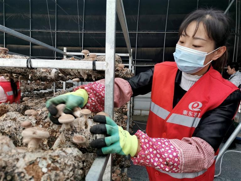 兰州新区移民新生活：上学有校车 上班在门口