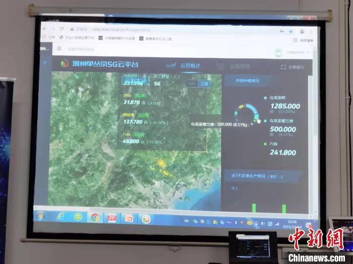 潮州单丛茶5G云平台实施收集各种日常动态监控和数据 郭军 摄