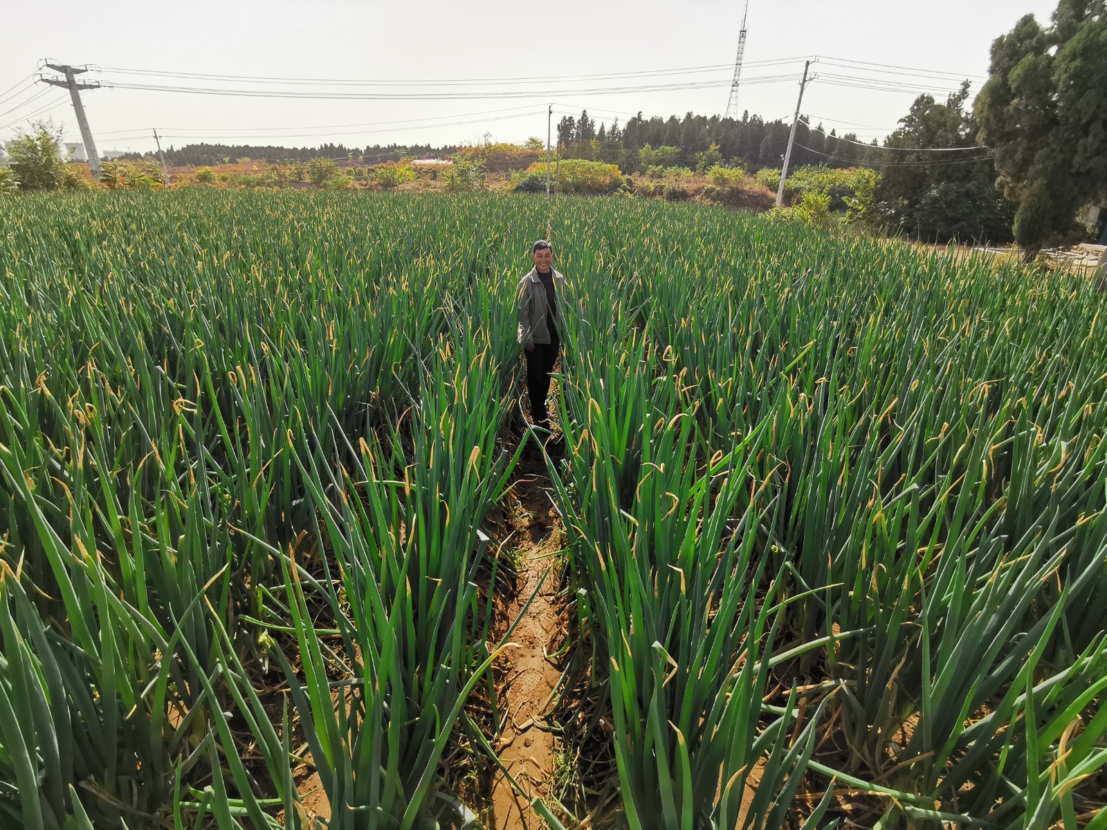 afdf486a9bd400e8d02c7c054418eba