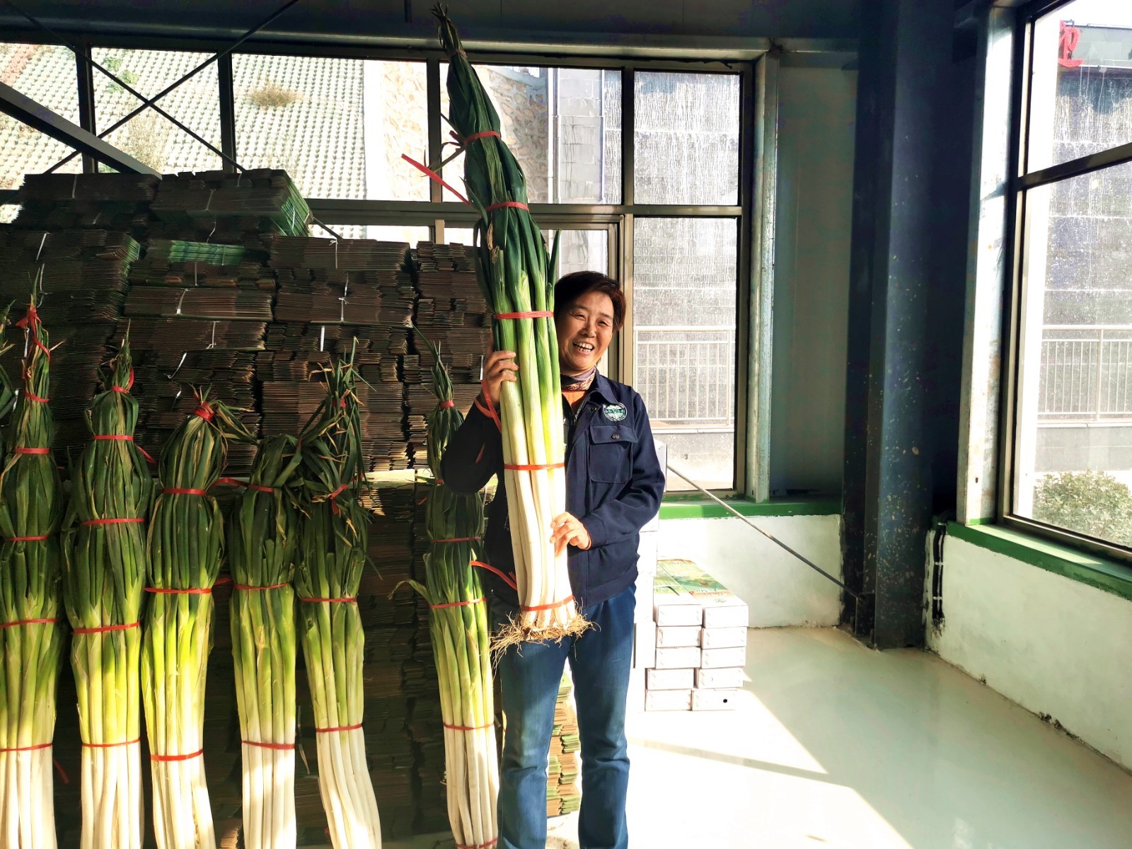 d9b5de89105e8a1c11a0c6ab6bb0960