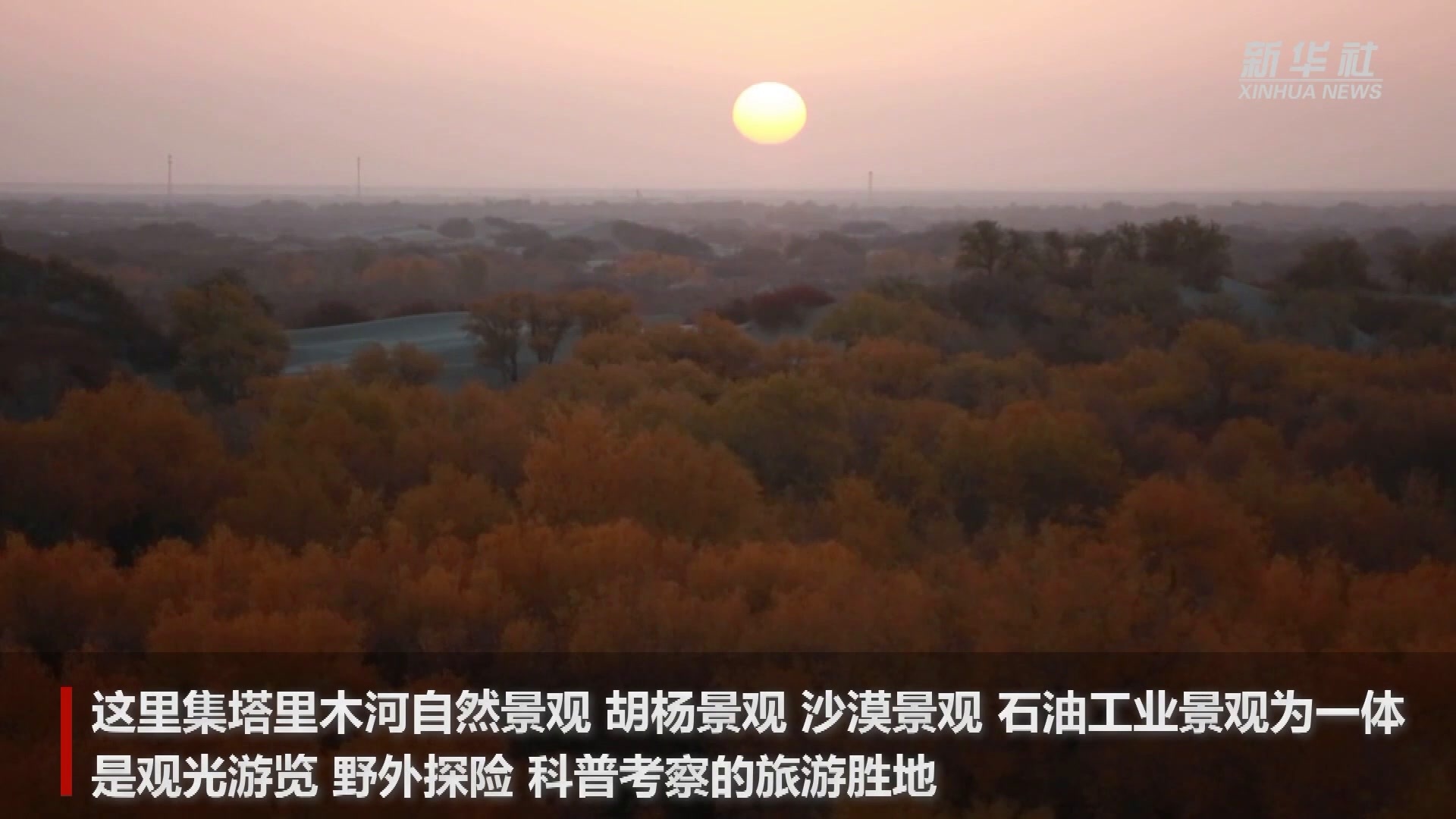 新疆轮台原始胡杨林迎来最佳观赏季
