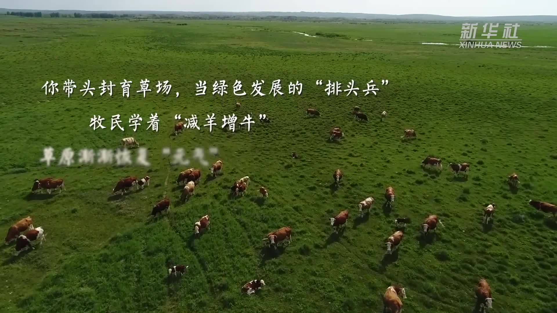 共和国功勋人物丨廷·巴特尔