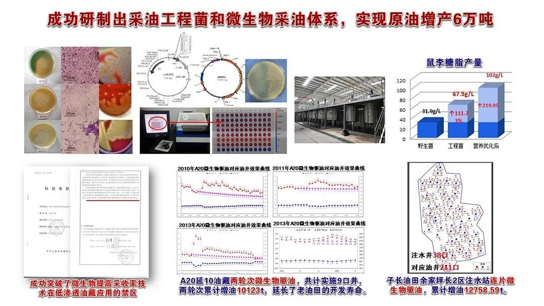 西北大学生命科学与医学部举办“地球生命共同体学科群研究计划”学术论坛