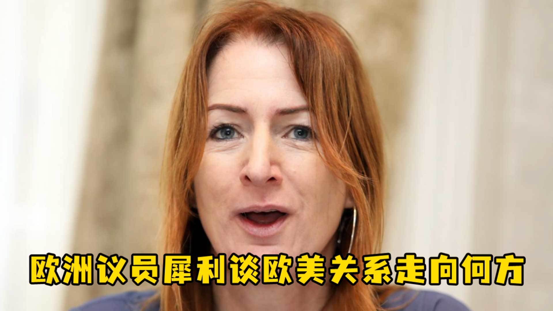 欧洲议员：欧洲要么放弃弱化美国的影响力，要么进一步被边缘化