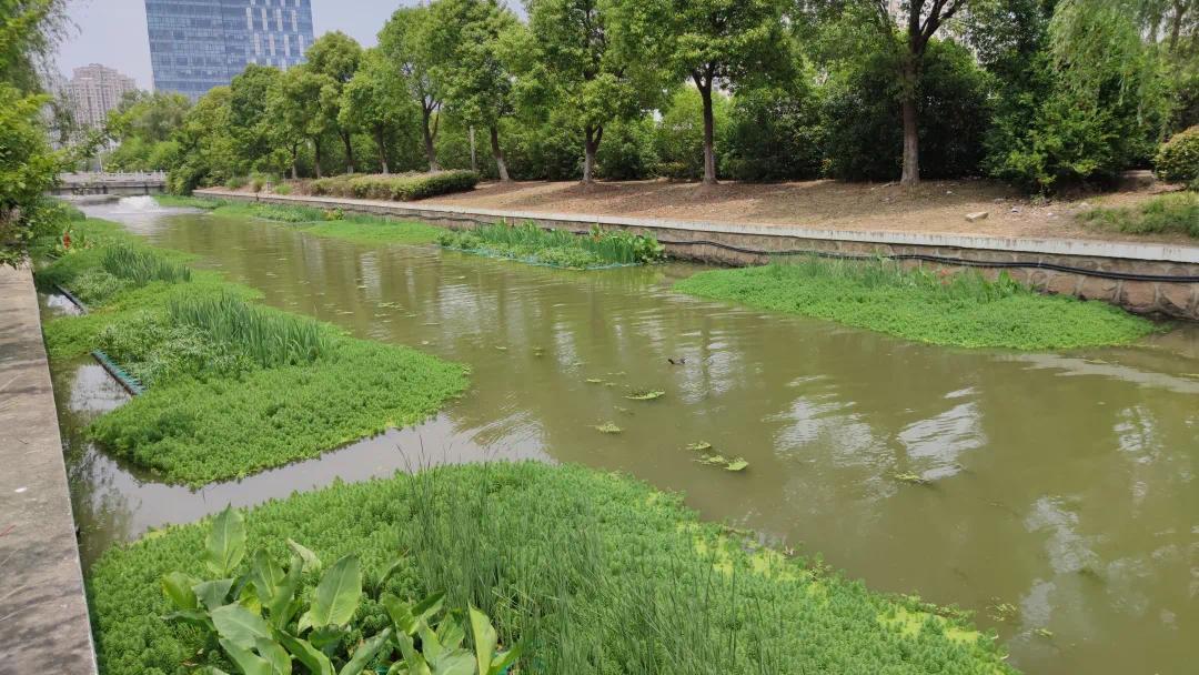 水下有森林河道能自修海门三河生态治理工程完成