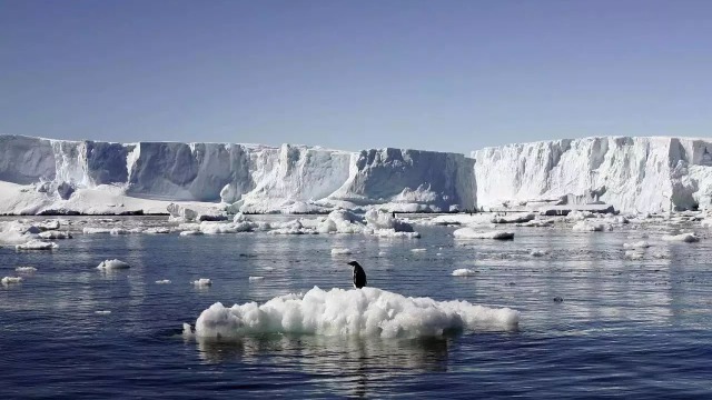 专家：地球正在经历全球升温，气候变化已经影响到了全世界