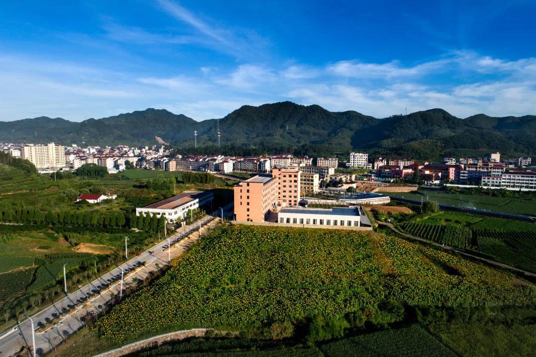 美丽乡村共富家园┃一幅美丽乡村共富图景正徐徐展开磐安尚湖镇高质量