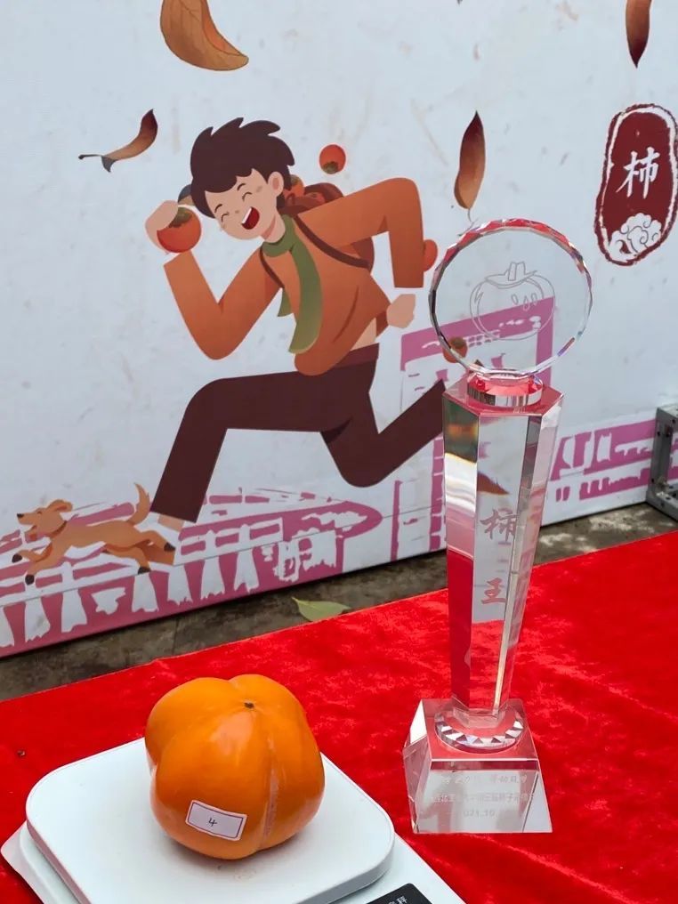 “柿王”奖杯