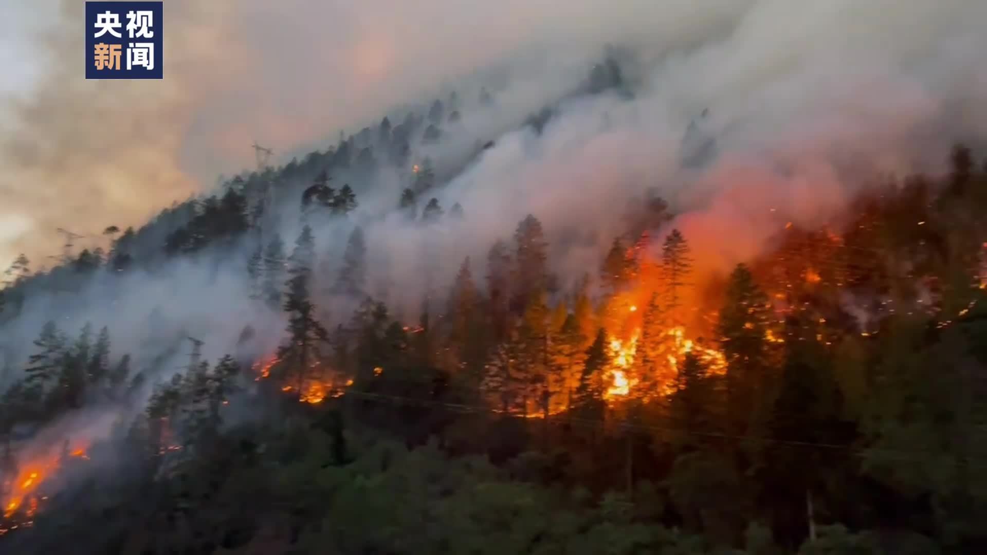 云南安宁发生森林大火 目前火势可控无伤亡