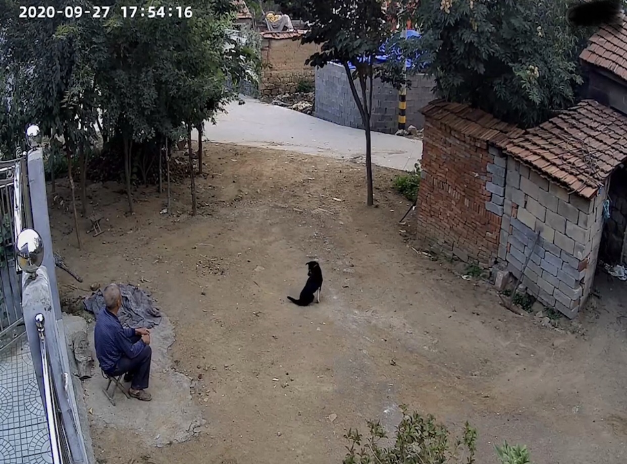 我给老家的爸妈装监控