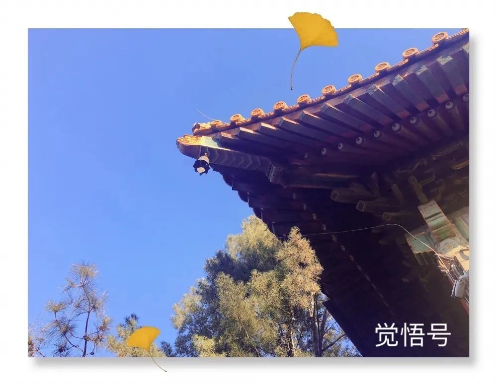 京城“宝刹”——广济寺