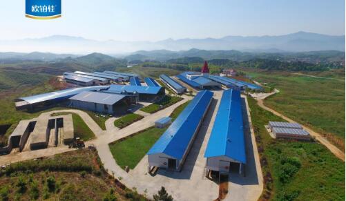 鲜羊奶品牌排行榜_羊奶粉十大品牌排行榜羊奶粉十大品牌排行榜有哪些(2)