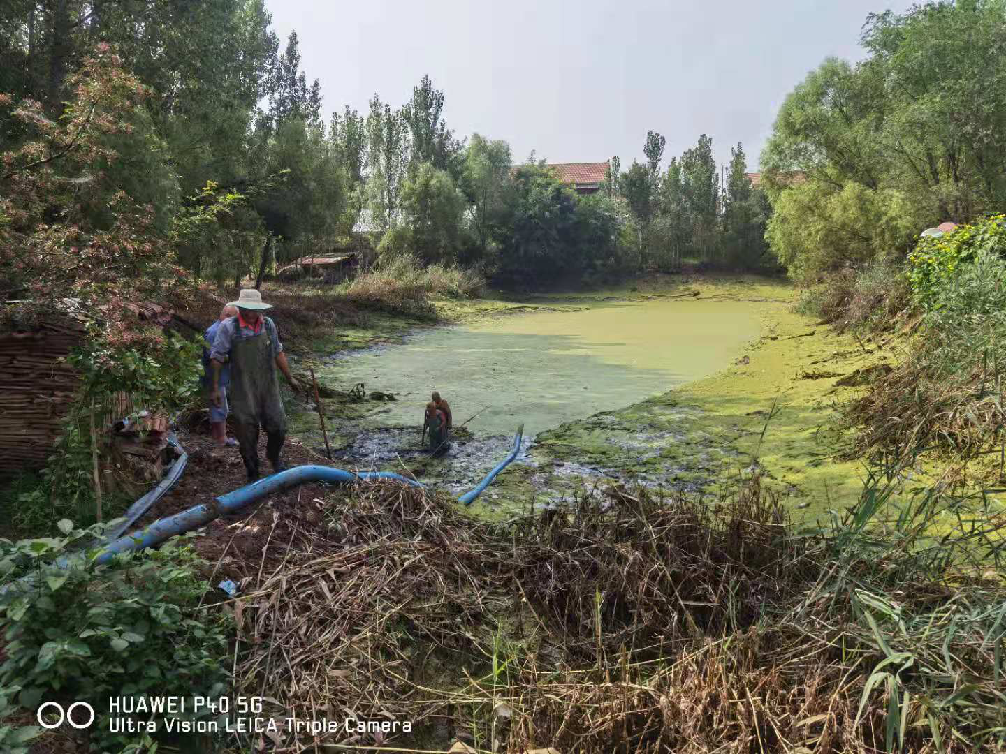 胡集东池塘治理前胡集东池塘治理后万物因水而生.