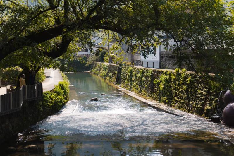 畅游“精特亮” 品读宋韵文化|国际传播大使及网络大V团打卡创智钱湖