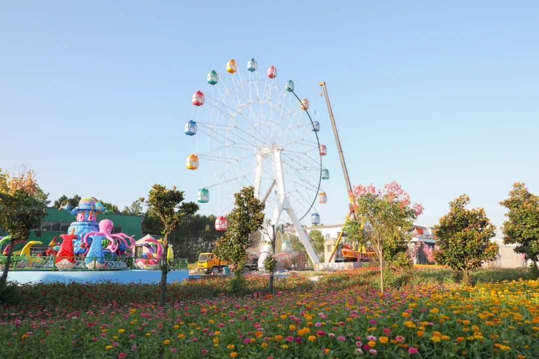 源東全域,錦林佛手文化園,漁歌小鎮花之港,金華花卉生態示範園,萬景