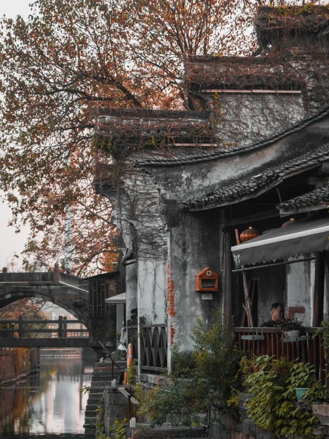 古镇徜徉处尽是青砖黛瓦江南梦