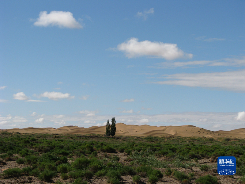 这是腾格里沙漠景观（受访者供图）