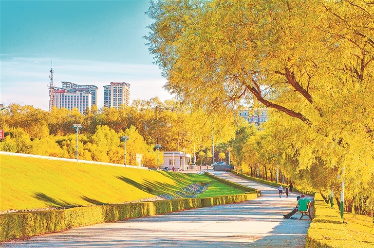 绿化增量创新模式全民参与七台河创建国家森林城市进行时