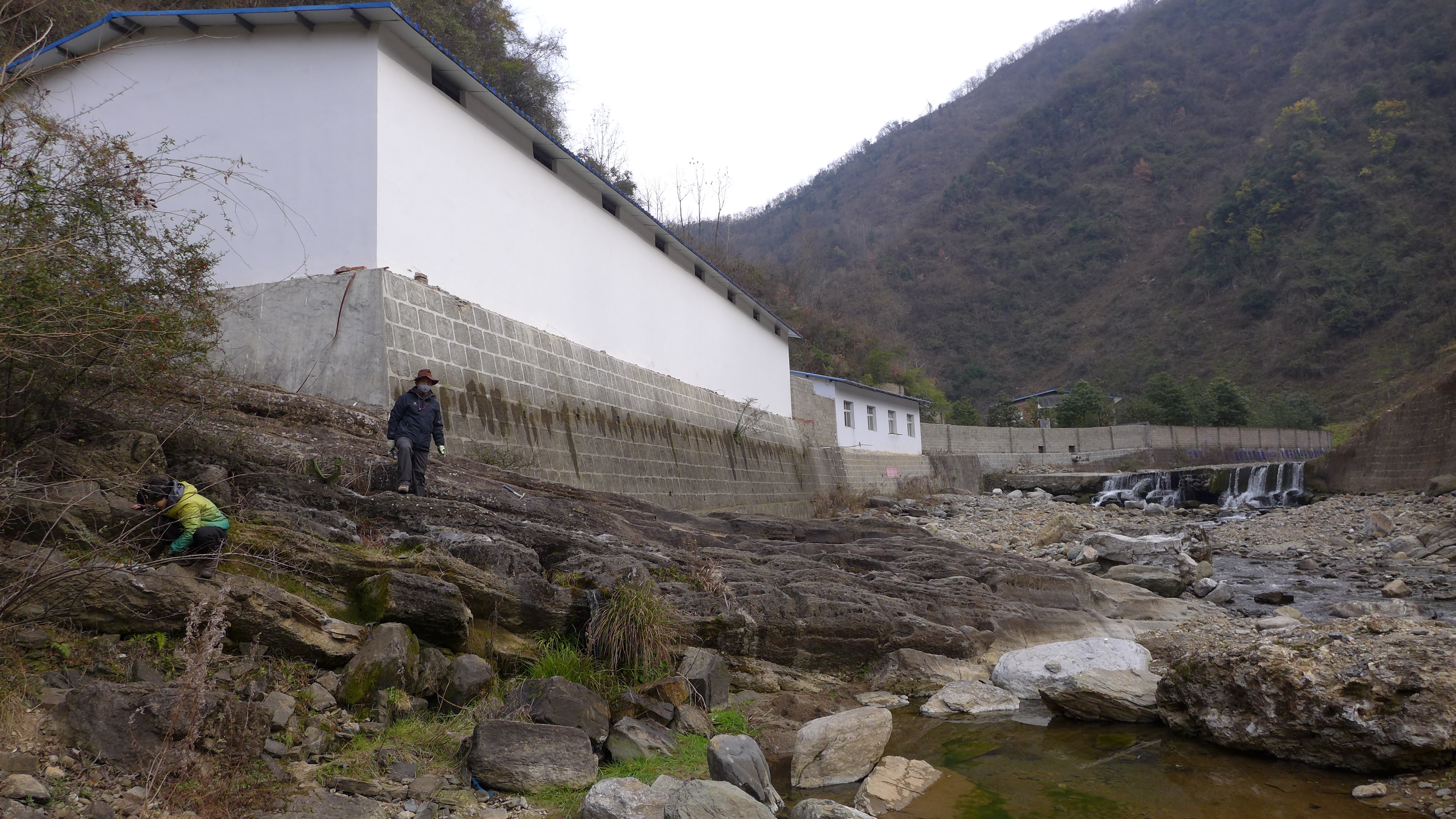 陕南小洋坝剖面寒武纪地层-2